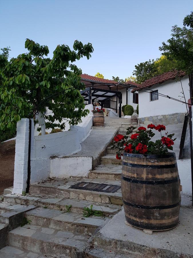 Proias Guesthouse 7Km From Meteora!At Village Vlachava Kalambaka Eksteriør billede